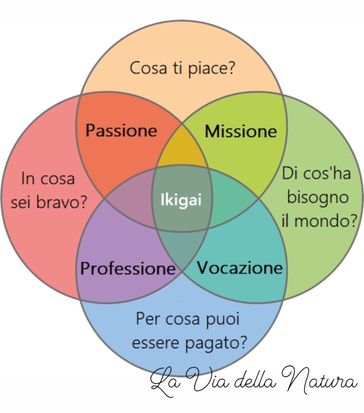ikigai 3