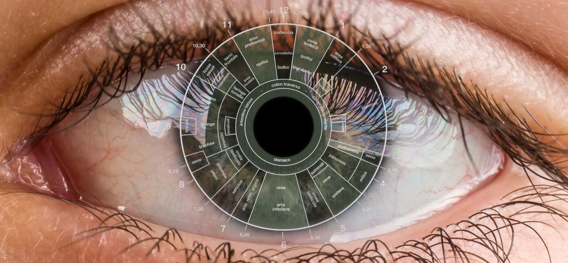 mappa-Iridologia